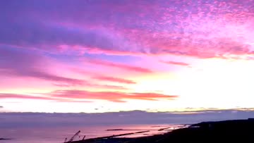 桃色の雲◆高品質✧ブラックオパールピアス✧14kgf 特集掲載】ガラスの食べごろ♡桃ピアス（イヤリング） 桃 ピーチ