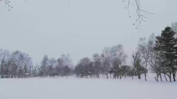 空から雪が降る