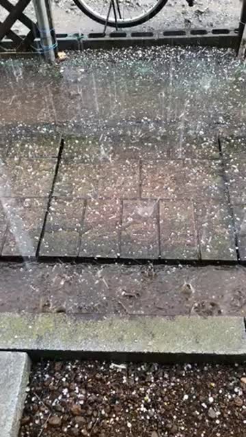 希少　気象　天然の雹　ひょう　千葉・茨城産　落ちたてホヤホヤ厳選採集 希少 気象 天然の雹 ひょう 千葉・茨城産 落ちたてホヤホヤ厳選