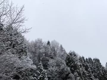 初雪ラッシュ／ 注目の空の写真 ウェザーニュース