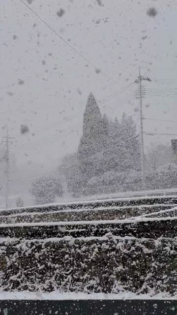 初雪 初雪で積雪も！ 西日本の雪の様子 注目の空の写真 ウェザーニュース