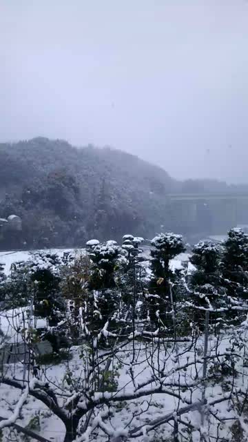 初雪で積雪も！ 西日本の雪の様子 注目の空の写真 ウェザーニュース
