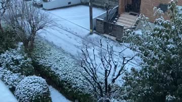 雪の降り方は、現在少し弱まりましたが、車 | 神奈川県横浜市青葉区