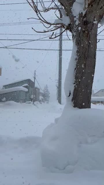 強雪・吹雪に注意 注目の空の写真 ウェザーニュース