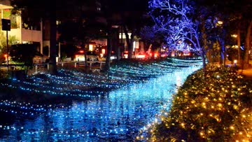 イルミネーションの季節🎄 注目の空の写真 ウェザーニュース