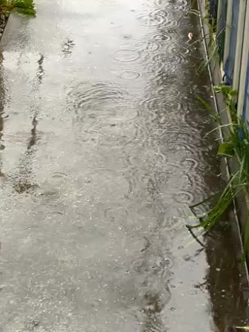 寒いですね 大粒の雨が降っています 雨が | 神奈川県三浦市 | 田舎っぺ